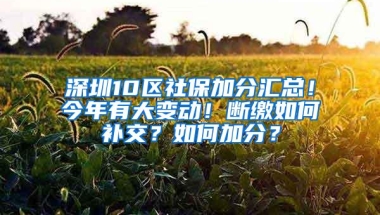 深圳10区社保加分汇总！今年有大变动！断缴如何补交？如何加分？