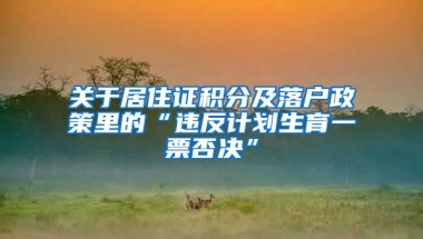 关于居住证积分及落户政策里的“违反计划生育一票否决”