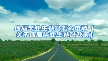 应届毕业生补贴怎么申请（关于应届毕业生补贴政策）