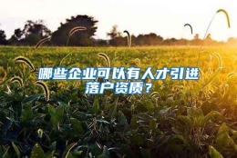 哪些企业可以有人才引进落户资质？