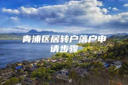 青浦区居转户落户申请步骤