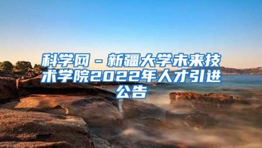 科学网－新疆大学未来技术学院2022年人才引进公告