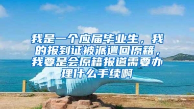 我是一个应届毕业生，我的报到证被派遣回原籍，我要是会原籍报道需要办理什么手续啊