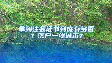 拿到注会证书到底有多香？落户一线城市？