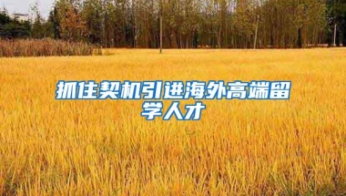 抓住契机引进海外高端留学人才