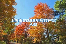 上海市2022年居转户总人数