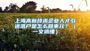 上海高新技术企业人才引进落户是怎么回事儿？（一文搞懂）