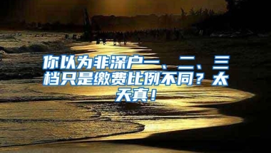 你以为非深户一、二、三档只是缴费比例不同？太天真！