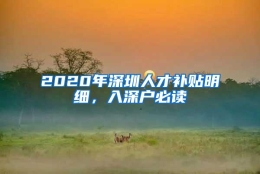 2020年深圳人才补贴明细，入深户必读