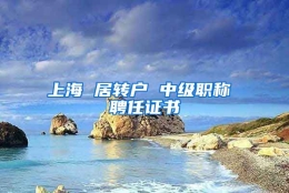 上海 居转户 中级职称 聘任证书