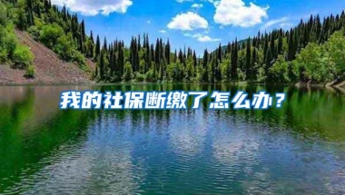 我的社保断缴了怎么办？