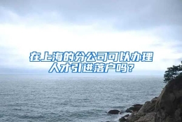 在上海的分公司可以办理人才引进落户吗？