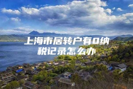 上海市居转户有0纳税记录怎么办