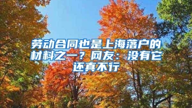 劳动合同也是上海落户的材料之一？网友：没有它还真不行