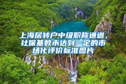 上海居转户中级职称通道，社保基数未达到一定的市场化评价标准图片