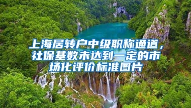 上海居转户中级职称通道，社保基数未达到一定的市场化评价标准图片