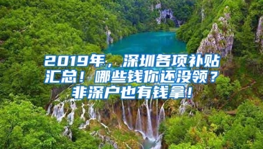 2019年，深圳各项补贴汇总！哪些钱你还没领？非深户也有钱拿！