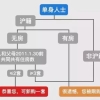 调控不断，20212最新上海购房政策汇总！限购、贷款、积分