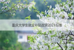 重庆大学生就业补贴政策2021标准  重庆应届生就业补贴怎么申请