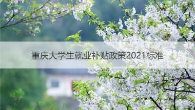 重庆大学生就业补贴政策2021标准  重庆应届生就业补贴怎么申请