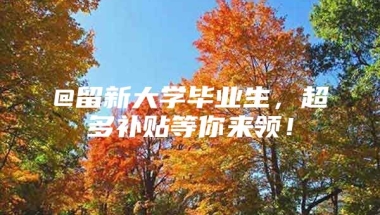 @留新大学毕业生，超多补贴等你来领！