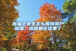 应届毕业生怎么报到落户深圳，流程都在这里了