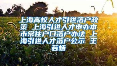 上海高校人才引进落户政策 上海引进人才申办本市常住户口落户办法 上海引进人才落户公示 王若杨