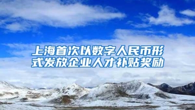 上海首次以数字人民币形式发放企业人才补贴奖励