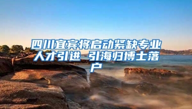 四川宜宾将启动紧缺专业人才引进 引海归博士落户