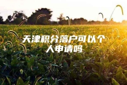 天津积分落户可以个人申请吗