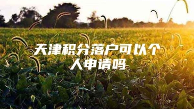 天津积分落户可以个人申请吗