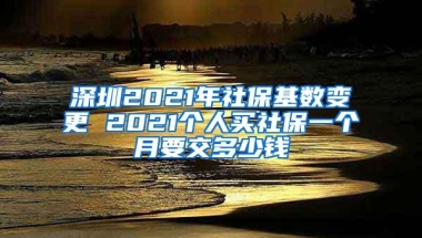 深圳2021年社保基数变更 2021个人买社保一个月要交多少钱