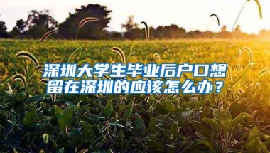 深圳大学生毕业后户口想留在深圳的应该怎么办？