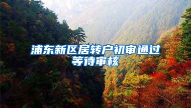 浦东新区居转户初审通过等待审核