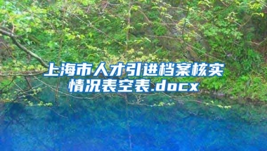 上海市人才引进档案核实情况表空表.docx