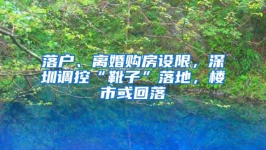 落户、离婚购房设限，深圳调控“靴子”落地，楼市或回落