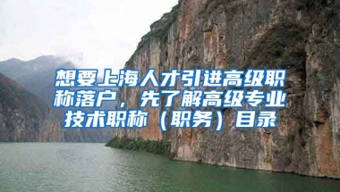 想要上海人才引进高级职称落户，先了解高级专业技术职称（职务）目录