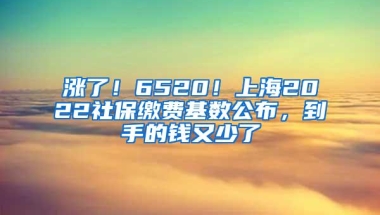 涨了！6520！上海2022社保缴费基数公布，到手的钱又少了