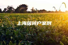 上海居转户案例