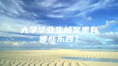 大学毕业生档案里有哪些东西？