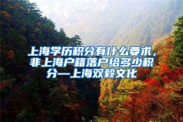 上海学历积分有什么要求，非上海户籍落户给多少积分—上海双毅文化