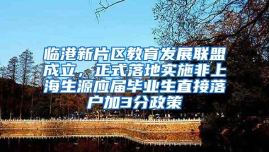 临港新片区教育发展联盟成立，正式落地实施非上海生源应届毕业生直接落户加3分政策