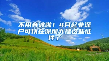 不用奔波啦！4月起非深户可以在深圳办理这些证件了