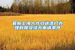 最新上海人才引进落户办理时限及续办申请条件