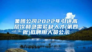 集团公司2022年引进高层次和急需紧缺人才(第四批)拟聘用人员公示