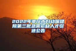 2022年枣庄市妇幼保健院第三批急需紧缺人才引进公告