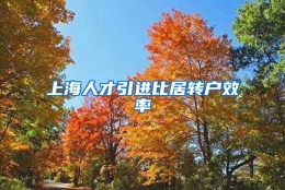 上海人才引进比居转户效率