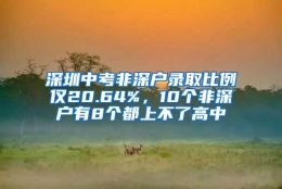 深圳中考非深户录取比例仅20.64%，10个非深户有8个都上不了高中