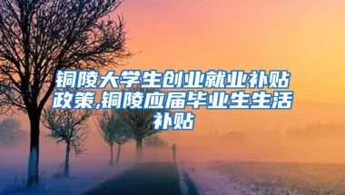 铜陵大学生创业就业补贴政策,铜陵应届毕业生生活补贴