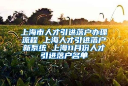 上海市人才引进落户办理流程 上海人才引进落户新系统 上海11月份人才引进落户名单